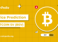 Bitcoin SV Price Prediction 2025, 2026-2030: Will BSV Price Hit $100?