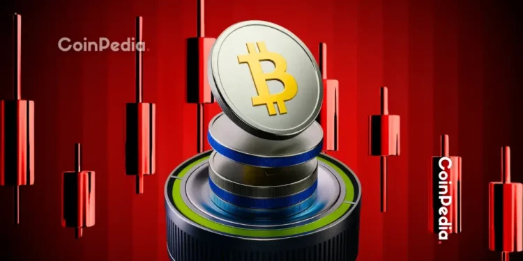 Altcoins Hold Strong as Bitcoin Falls 24% in November