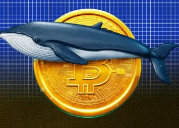 Bitcoin Whale Profits $570K as Bitcoin Price Rise Above $71K