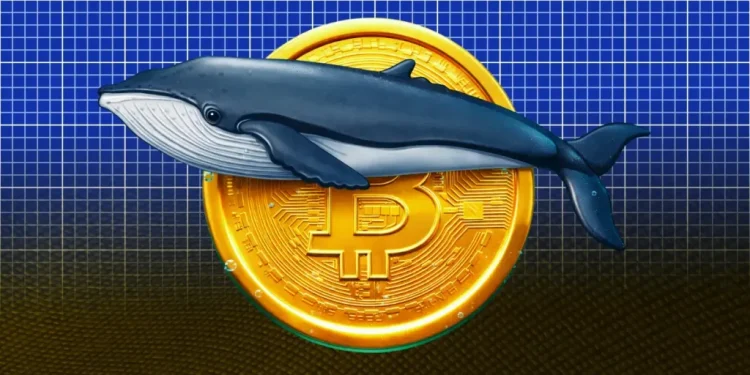 Bitcoin Whale Profits $570K as Bitcoin Price Rise Above $71K