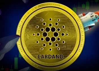 Cardano At Make-Or-Break Level As Whales Accumulate At 4-Month High
