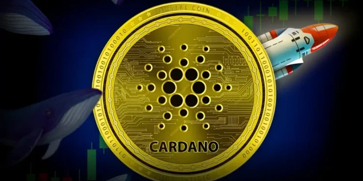 Cardano At Make-Or-Break Level As Whales Accumulate At 4-Month High